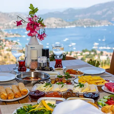 Lime Garden * Selimiye (Aegean)